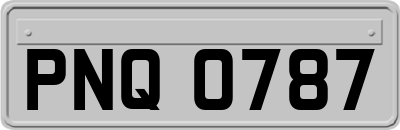 PNQ0787