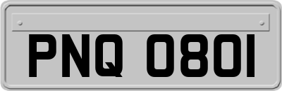 PNQ0801