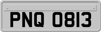 PNQ0813
