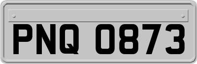 PNQ0873
