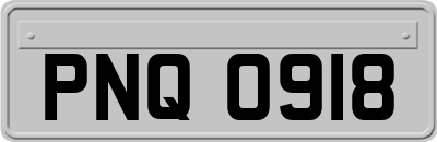 PNQ0918
