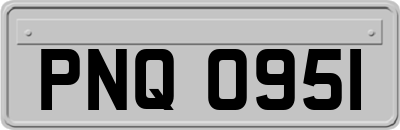 PNQ0951