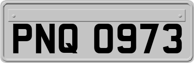 PNQ0973