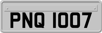 PNQ1007