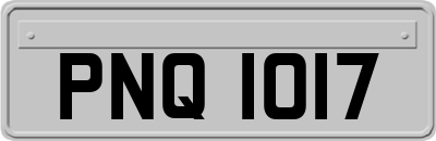 PNQ1017