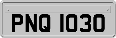 PNQ1030