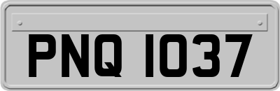PNQ1037