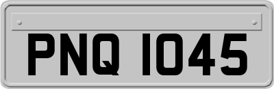 PNQ1045