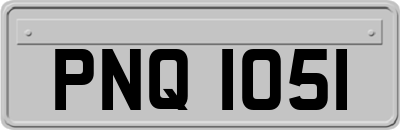 PNQ1051