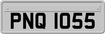 PNQ1055
