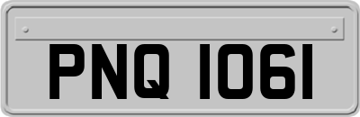 PNQ1061