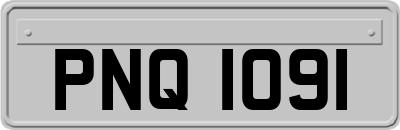 PNQ1091