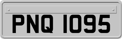 PNQ1095