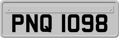 PNQ1098