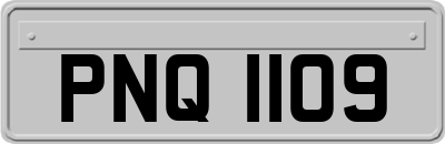 PNQ1109