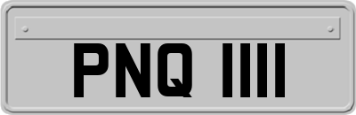 PNQ1111