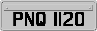 PNQ1120