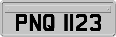 PNQ1123