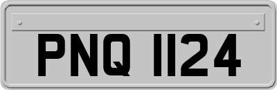 PNQ1124