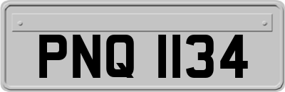 PNQ1134