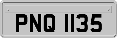 PNQ1135