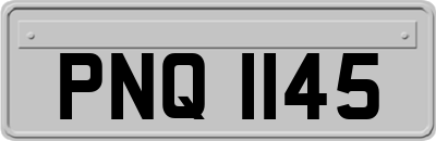 PNQ1145