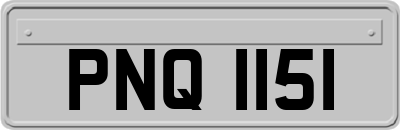 PNQ1151