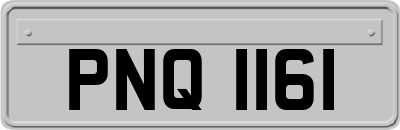 PNQ1161