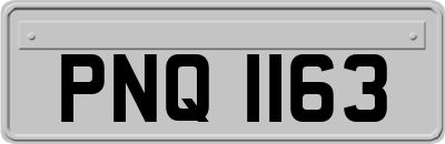 PNQ1163