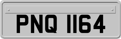PNQ1164
