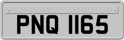 PNQ1165