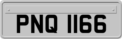 PNQ1166