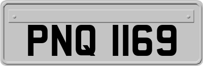 PNQ1169