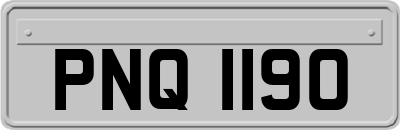 PNQ1190