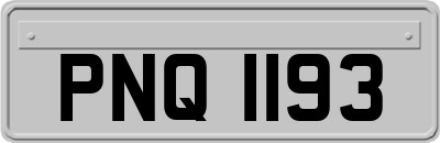 PNQ1193