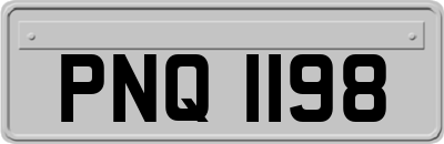 PNQ1198