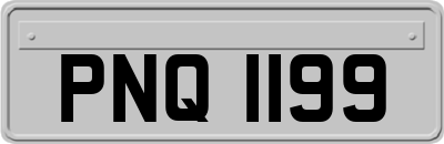 PNQ1199