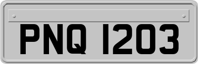 PNQ1203