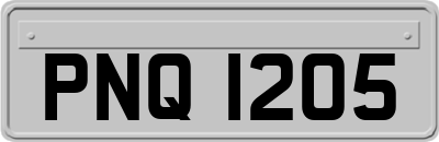 PNQ1205