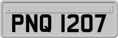 PNQ1207