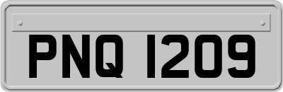PNQ1209
