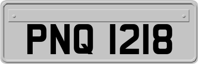 PNQ1218