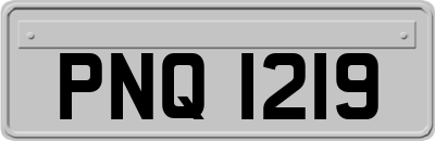 PNQ1219