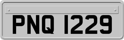 PNQ1229