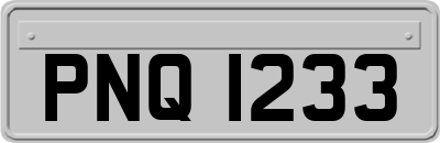 PNQ1233