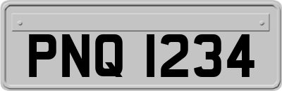 PNQ1234
