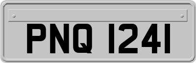 PNQ1241