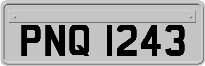 PNQ1243