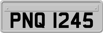 PNQ1245