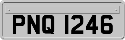PNQ1246